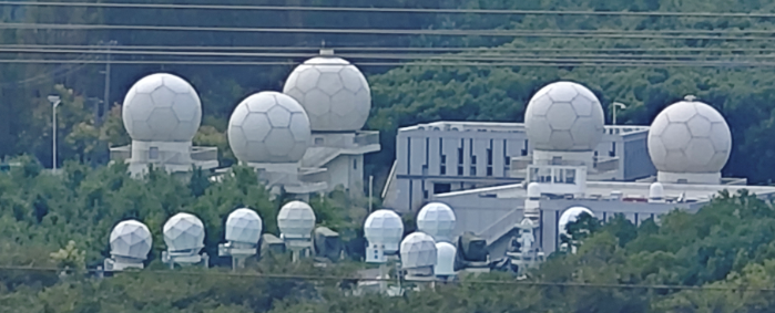 2026.3.12植树节4 2026.3.12植树节4